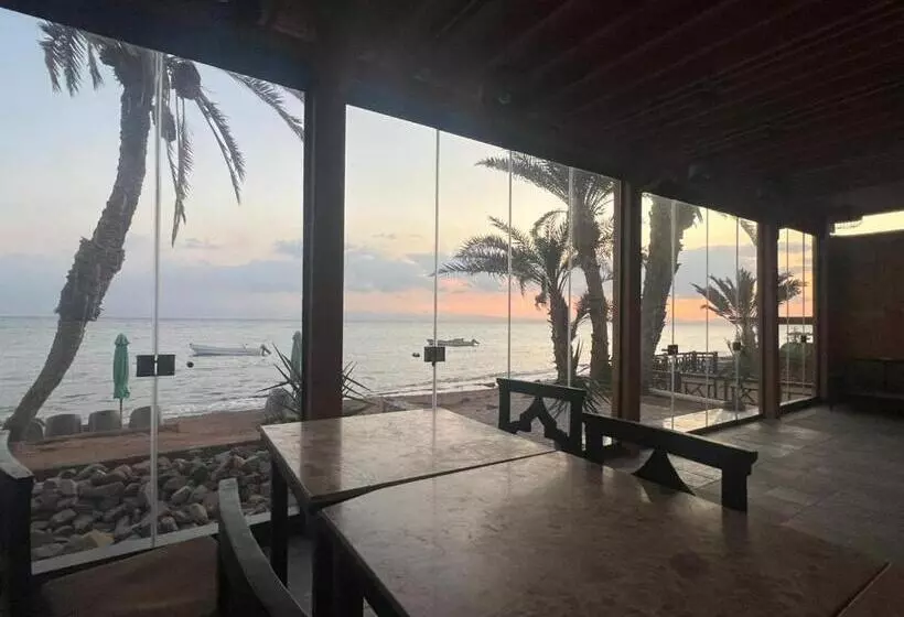 Village Light House Dahab