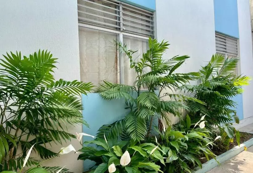 تختخواب و صبحانه Casa Quetzal