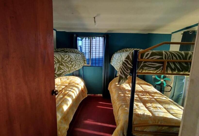 تختخواب و صبحانه Molino Rojo Hostel