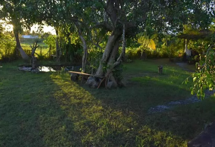 Aamiaismajoitus (B&B) Rice Cabanas Yala