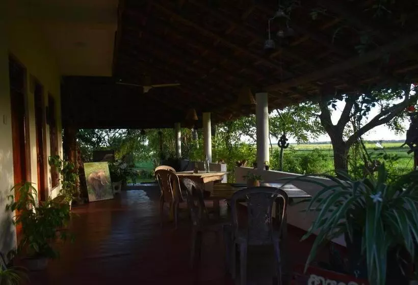 Aamiaismajoitus (B&B) Rice Cabanas Yala