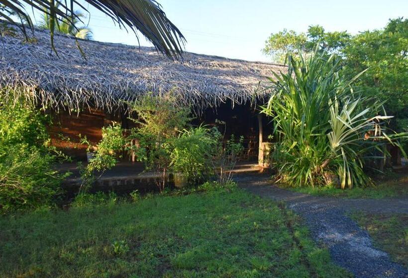 Bed and Breakfast Rice Cabanas Yala