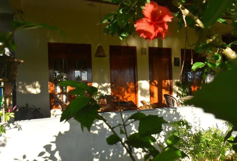 Bed and Breakfast Rice Cabanas Yala