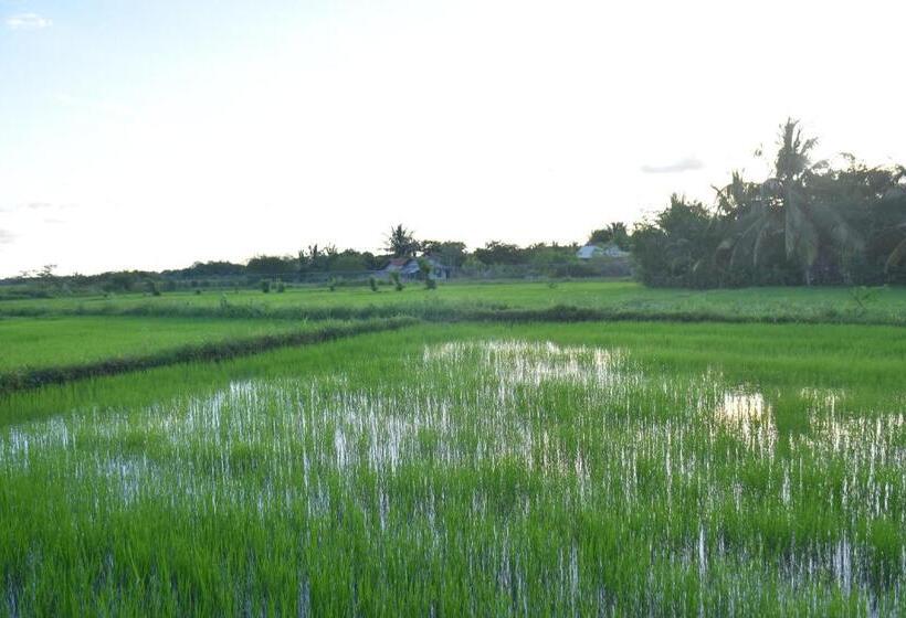 Bed and Breakfast Rice Cabanas Yala