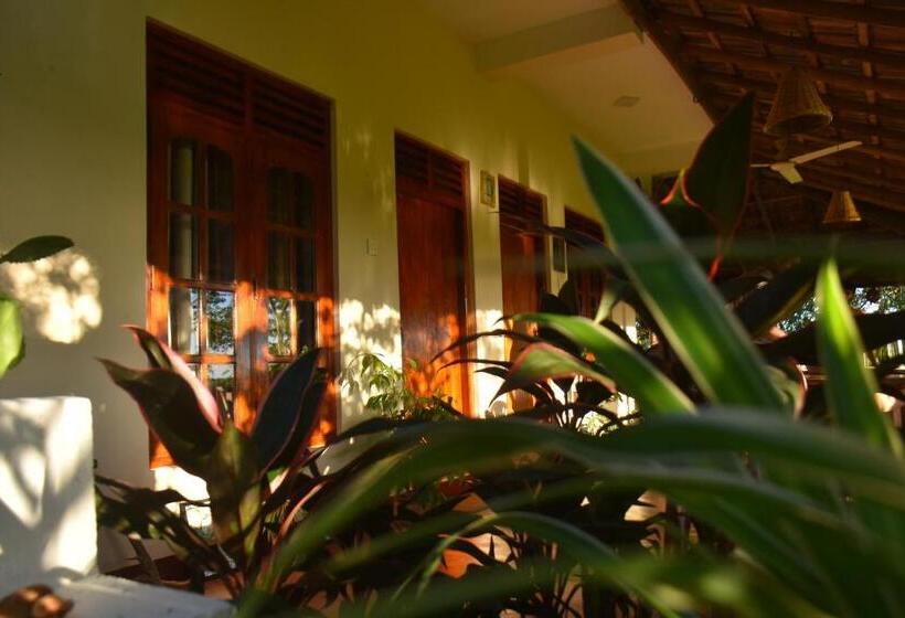 Bed and Breakfast Rice Cabanas Yala