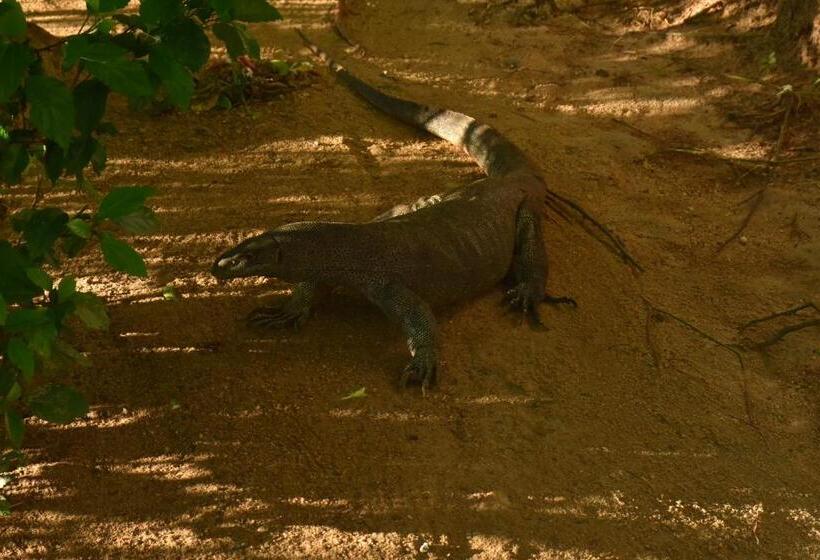 Bed and Breakfast Rice Cabanas Yala