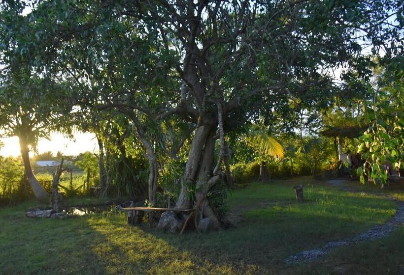 Bed and Breakfast Rice Cabanas Yala