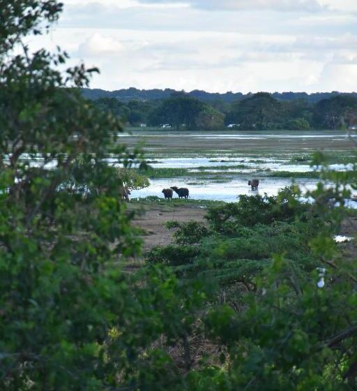 Bed and Breakfast Rice Cabanas Yala