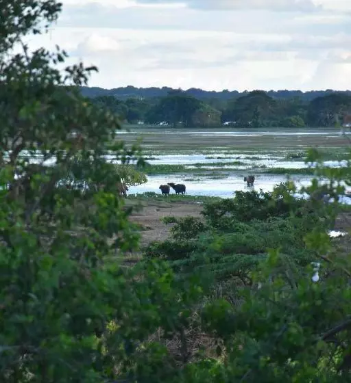 Aamiaismajoitus (B&B) Rice Cabanas Yala