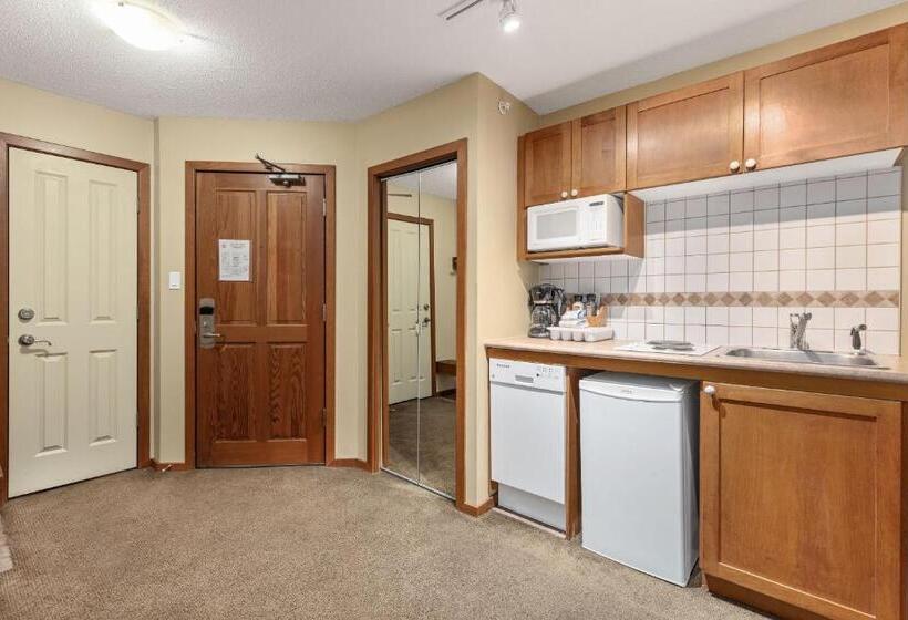 هتل 109 Per Night Cascade Lodge Suite Pool 2 Hot Tubs Sauna Gym