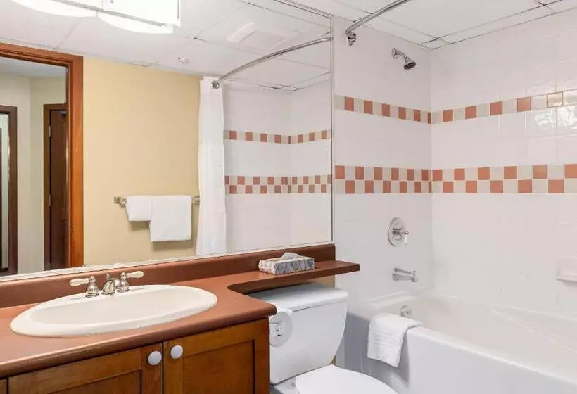 هتل 109 Per Night Cascade Lodge Suite Pool 2 Hot Tubs Sauna Gym
