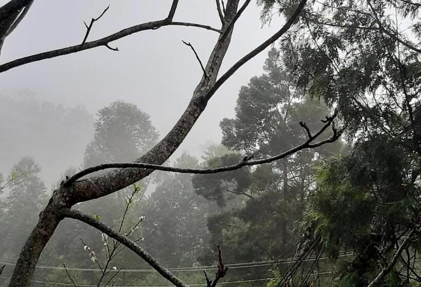 בית מלון כפרי Jacaranda Resorts