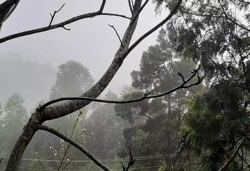 Hotelli Jacaranda Resorts