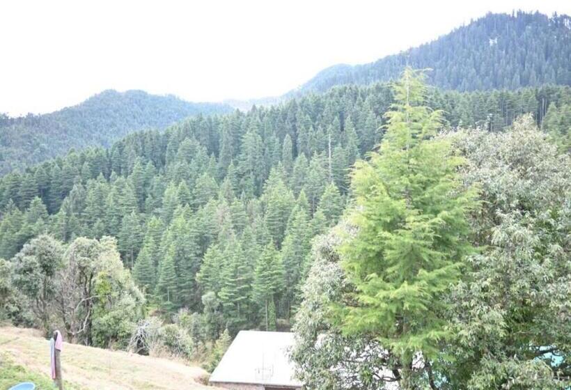 פנסיון Green Valley Homestay