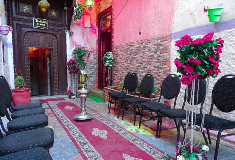 هاستل Maison Chez Lhabib