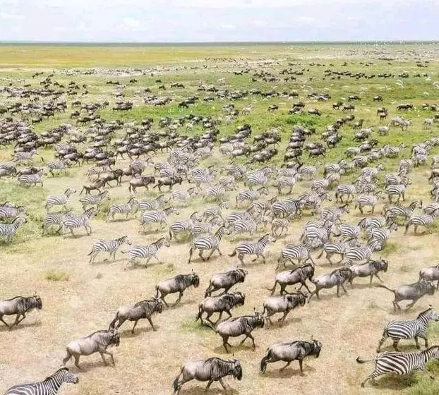 تختخواب و صبحانه Sunrise Maasai Mara Safari Camp