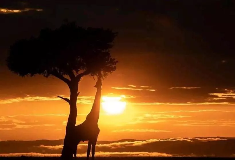 تختخواب و صبحانه Sunrise Maasai Mara Safari Camp