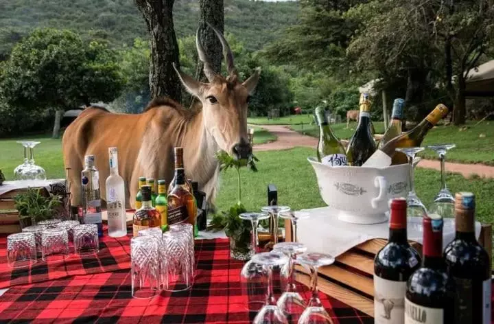 تختخواب و صبحانه Sunrise Maasai Mara Safari Camp