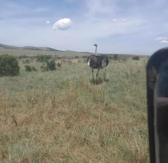 تختخواب و صبحانه Sunrise Maasai Mara Safari Camp