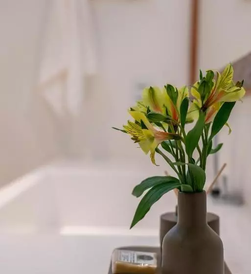ホテル Boutique Vila São João