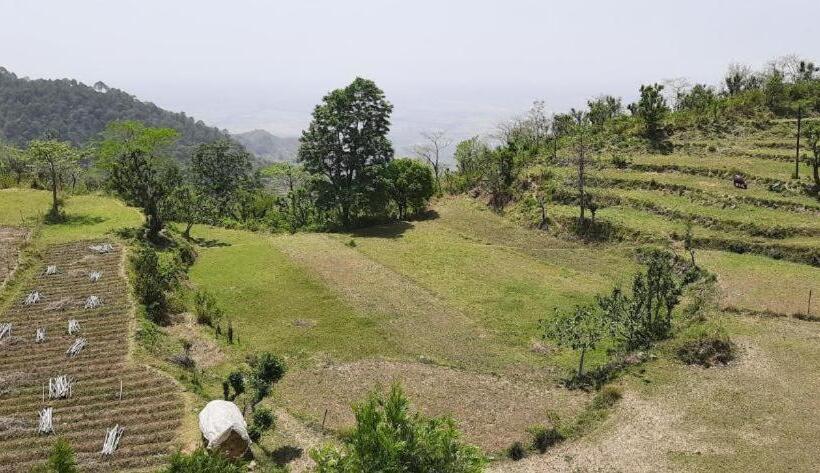 Hotel Nancy Guest House & Restaurant Morni