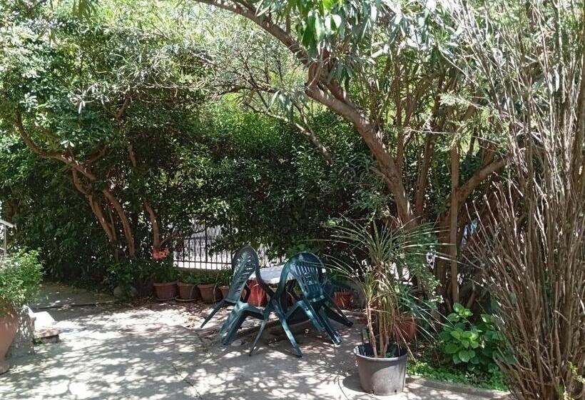 Markovic Apartmani Becici