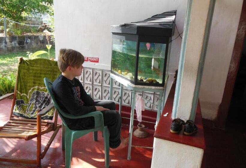 פנסיון Natural Holiday