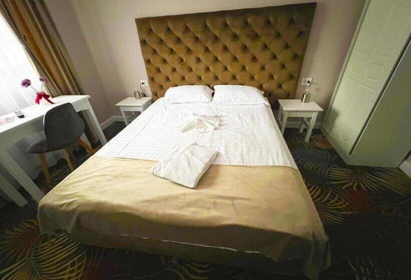 Pensiunea Pink House Runcu