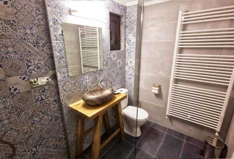 Pensiunea Pink House Runcu