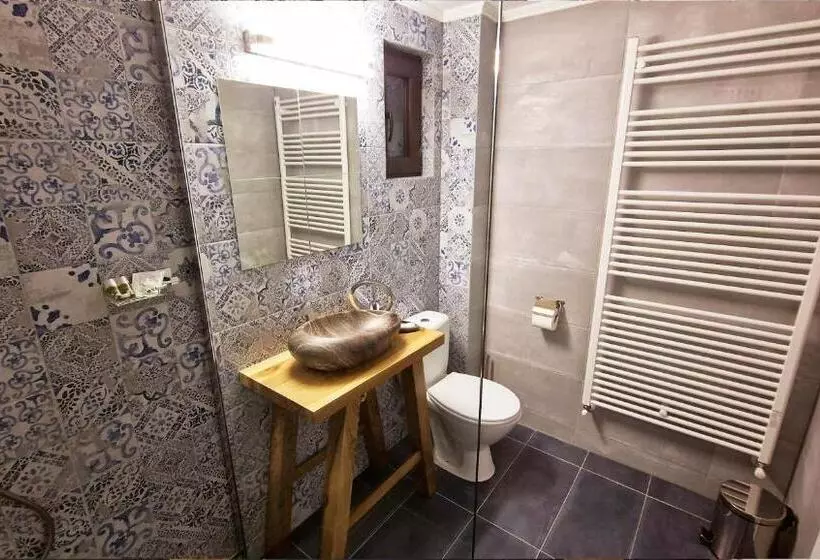 Pensiunea Pink House Runcu