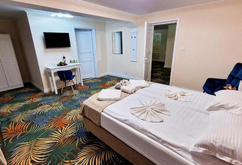 Pensiunea Pink House Runcu