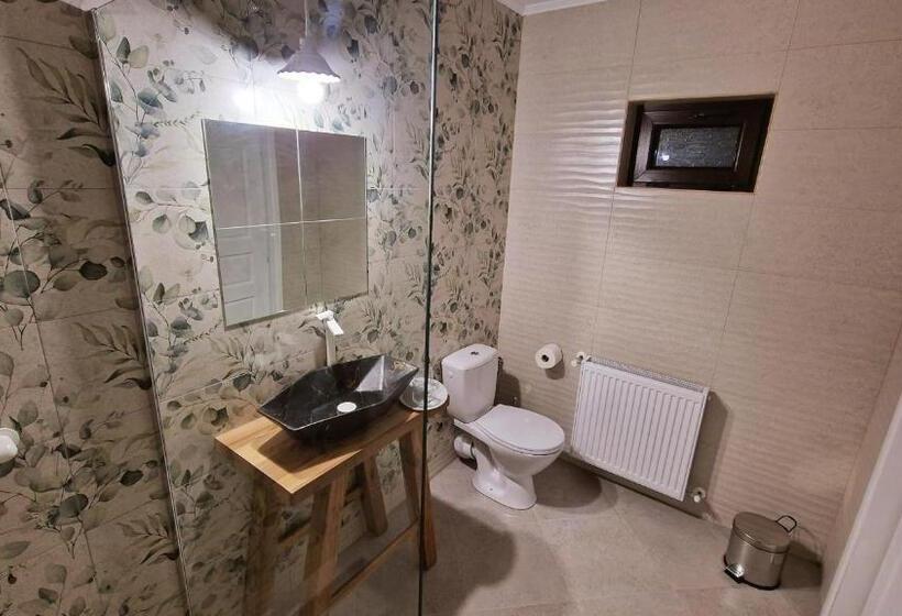 Pensiunea Pink House Runcu