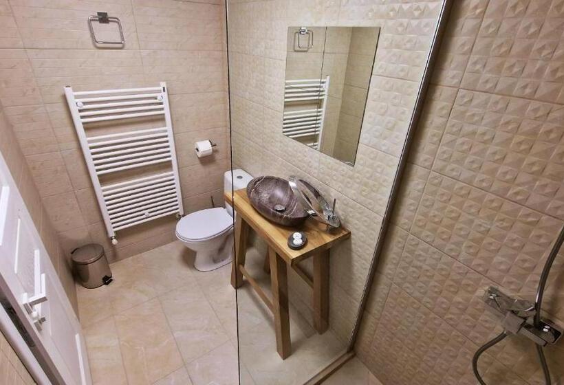 Pensiunea Pink House Runcu