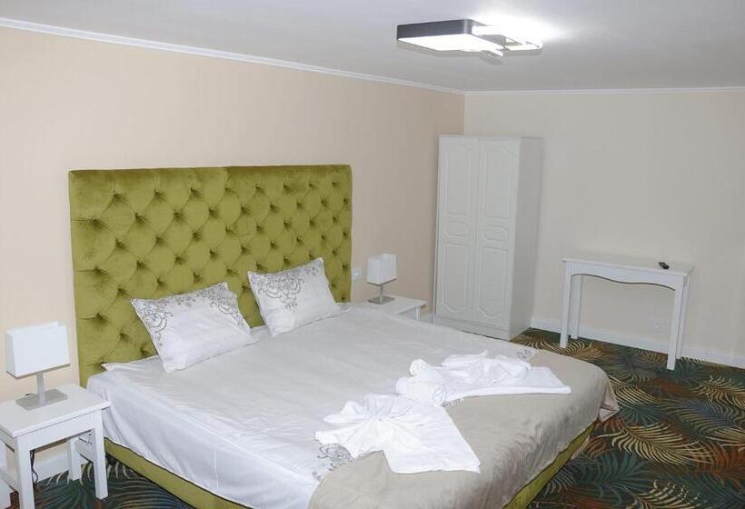 Pensiunea Pink House Runcu