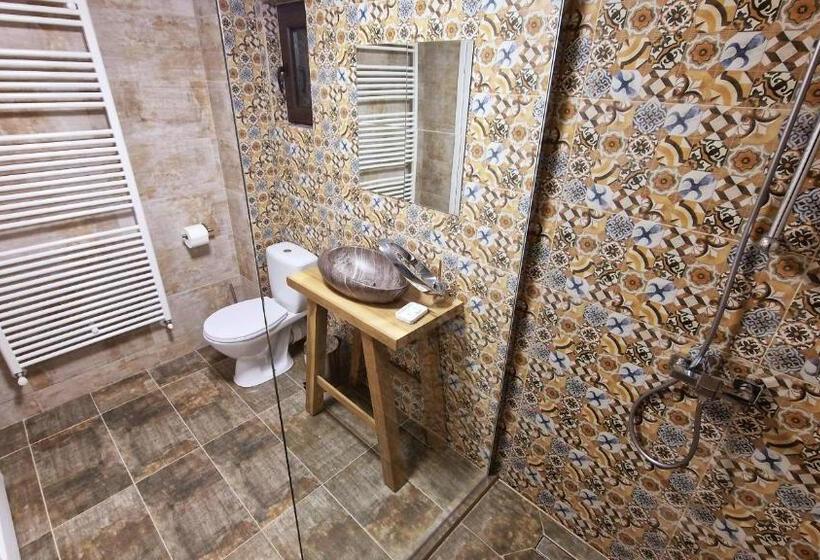 Pensiunea Pink House Runcu