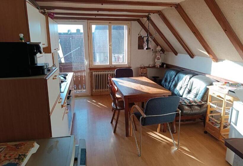 호스텔 Gasthaus Sunnenhof Sonne