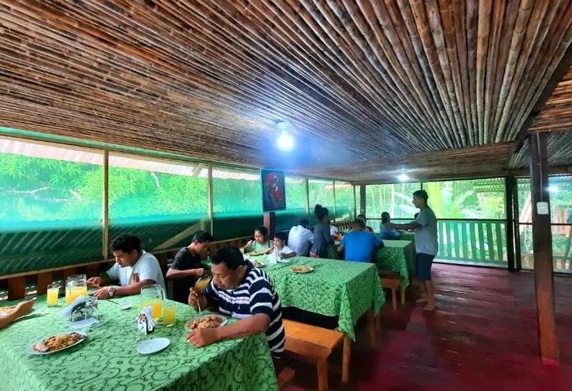 ホテル Arapari Amazon Lodge