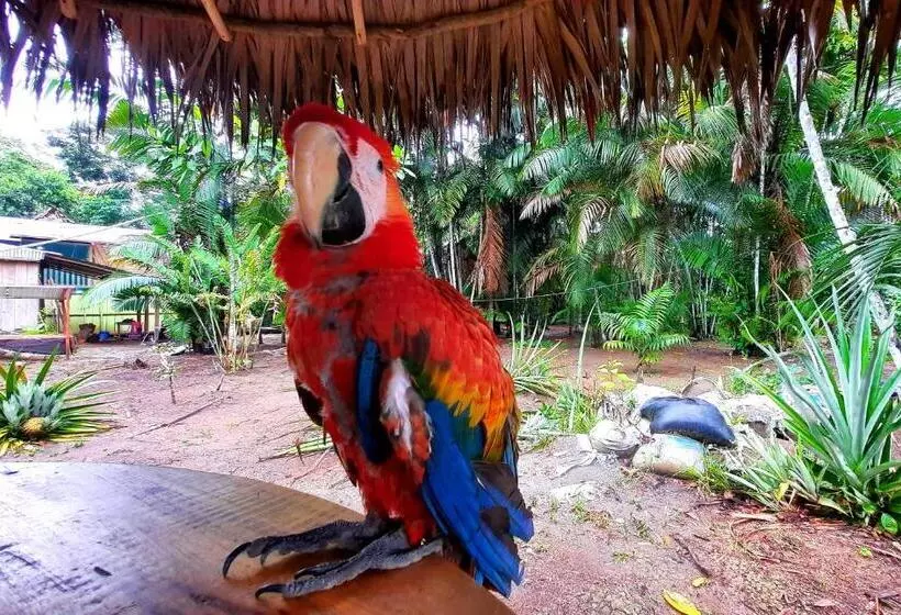 ホテル Arapari Amazon Lodge