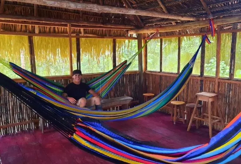 ホテル Arapari Amazon Lodge