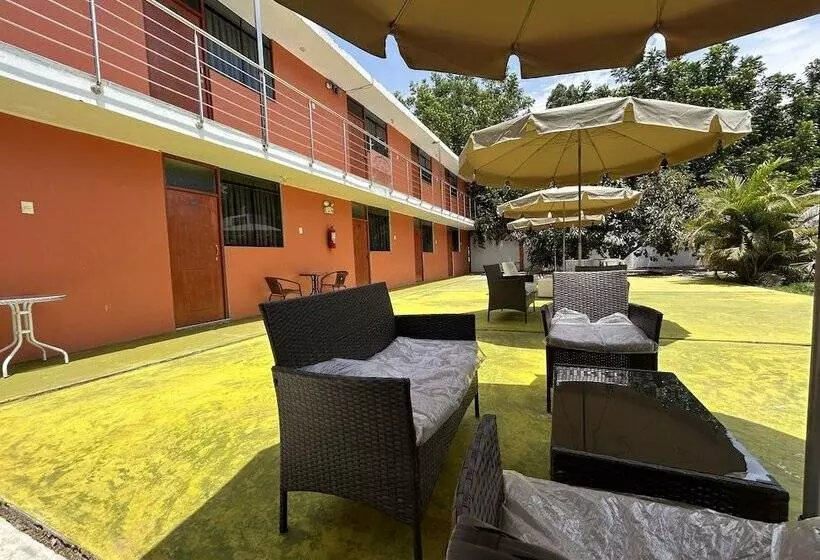 ホテル Ica Adventures Out Of The Woods