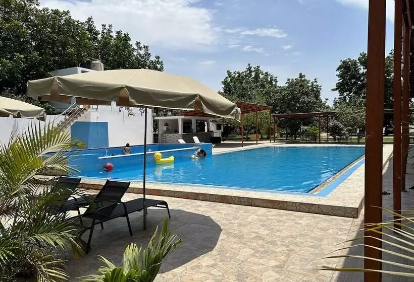 ホテル Ica Adventures Out Of The Woods