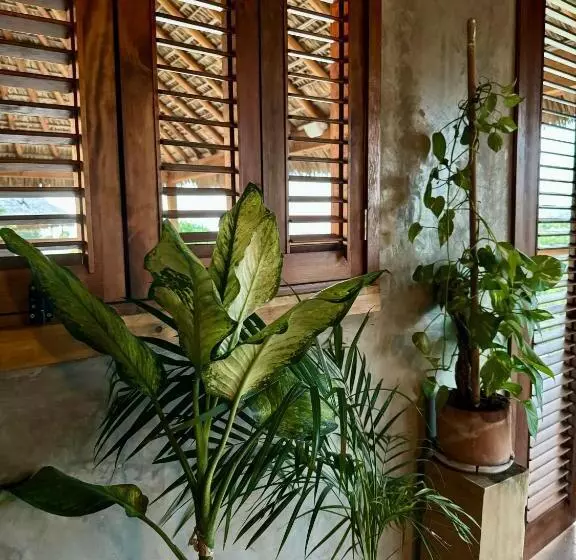 Majatalo Casa Monika Penthouse Room