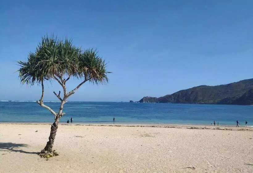 Majatalo Gguesthouse