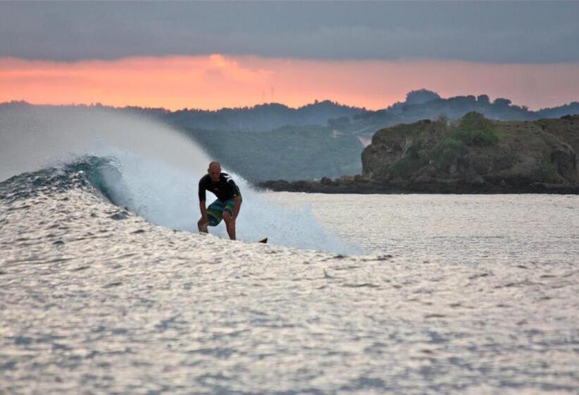 Pensjonat Gguesthouse