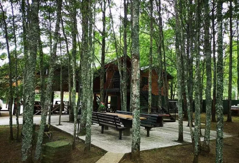 ペンション Hostal Y Cabañas Puerto Pucon