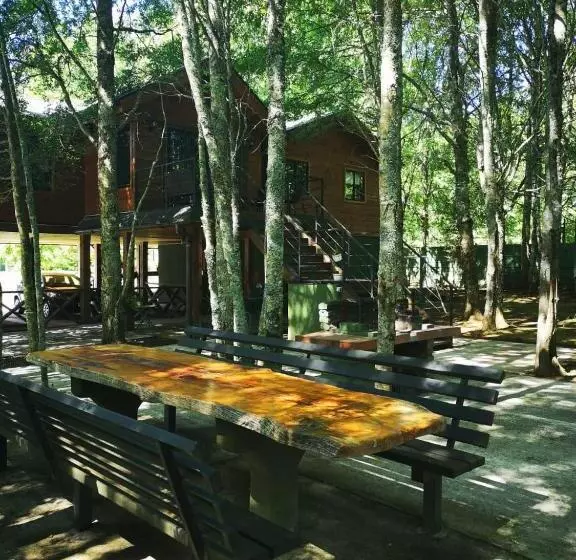 ペンション Hostal Y Cabañas Puerto Pucon