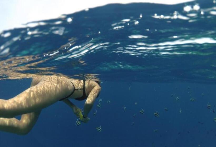 پانسیون Kuda Giri