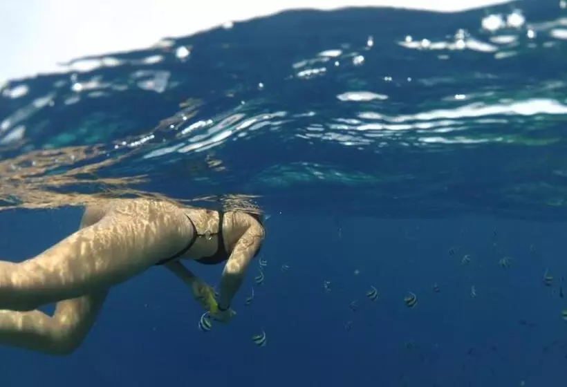 پانسیون Kuda Giri