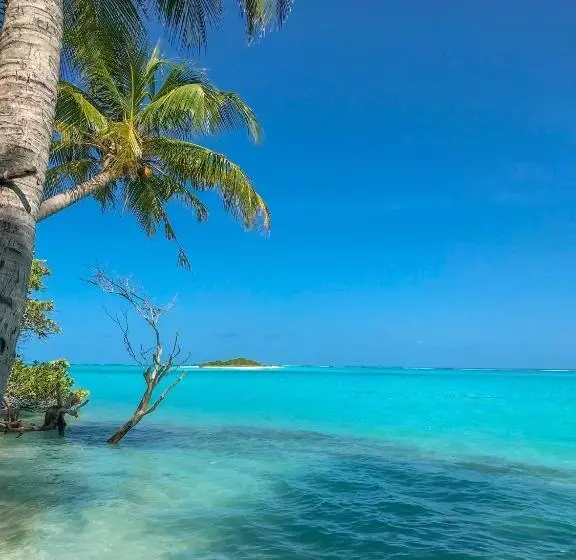 پانسیون Kuda Giri