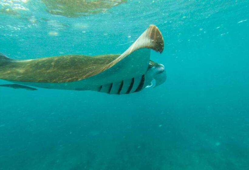 پانسیون Kuda Giri